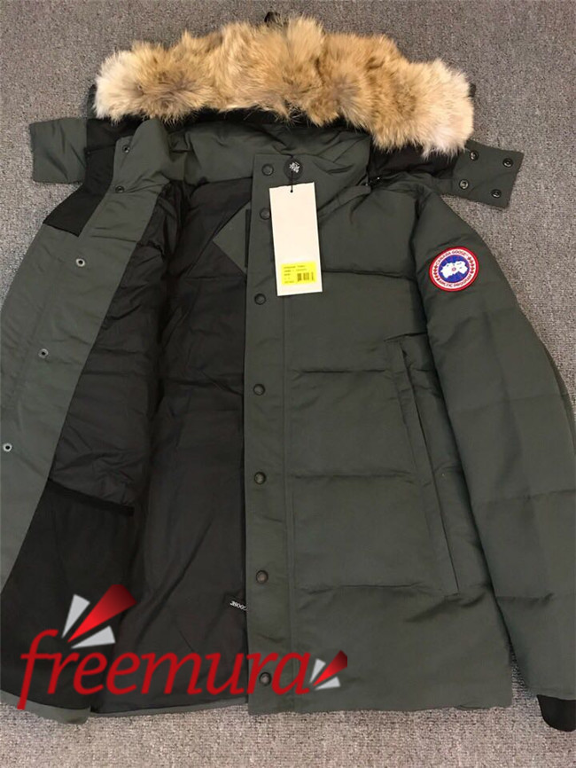 a48287135b68cab1a436a725b0b24d27_1541389829_3199.jpg a48287135b68cab1a436a725b0b24d27_1541389829_3199.jpg