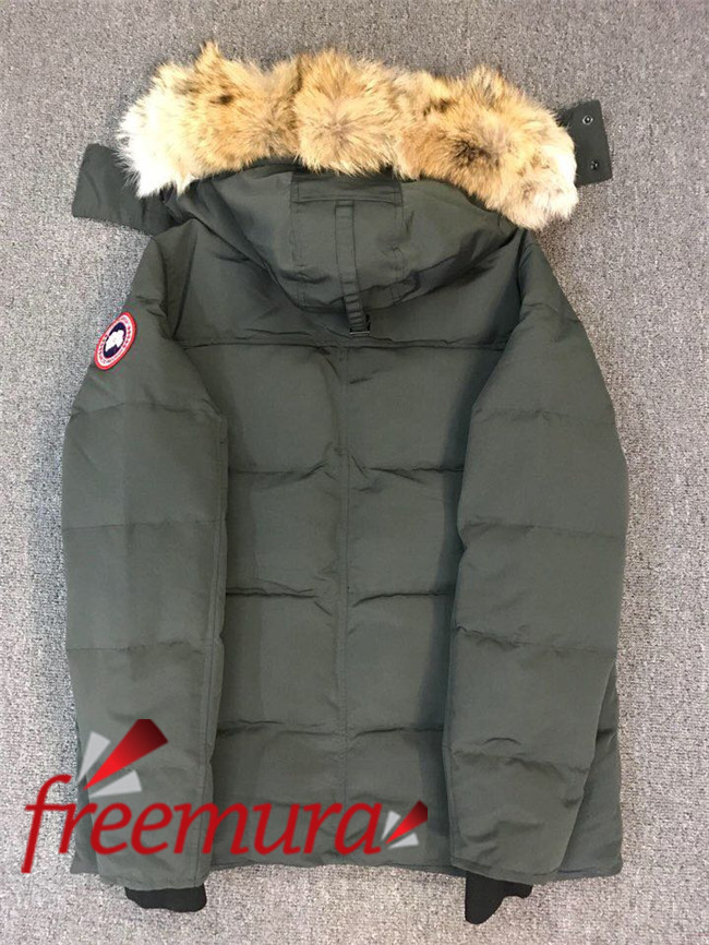 a48287135b68cab1a436a725b0b24d27_1541389831_0063.jpg a48287135b68cab1a436a725b0b24d27_1541389831_0063.jpg