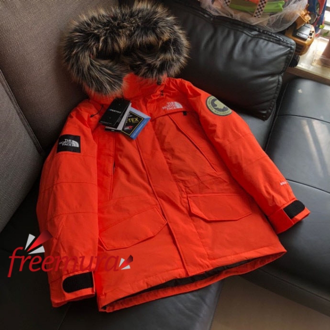 batch_3271668508089_.pic.jpg