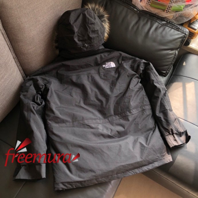 batch_3361668508111_.pic.jpg
