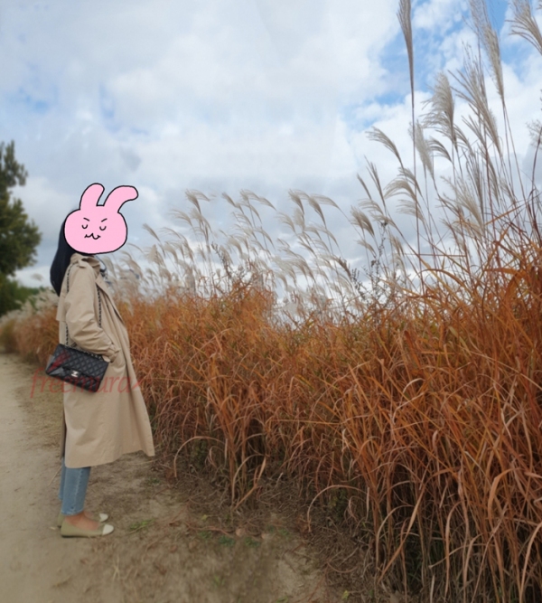 KakaoTalk_20221128_200203000副本.jpg
