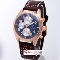 아이떠블유씨 파일럿 크르노 오토메틱 생텍쥐페리 SWISS ETA7750 IW371711