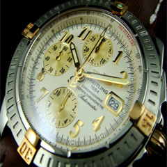 에볼루션 투톤콤비