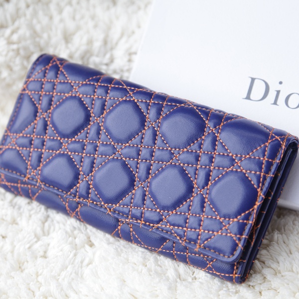 디올 지갑 406 블루