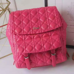 크리스찬 디올 백팩 레드