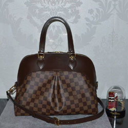 루이비통 다미에 에벤 살비N41399