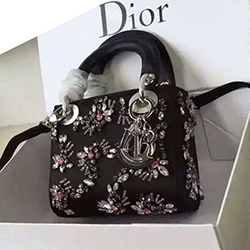 레이디 디올 미니 토드백