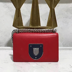 디올 라마 크로스백