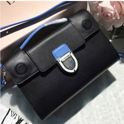 디올 라마 크로스백