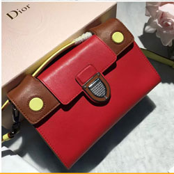 디올 라마 크로스백