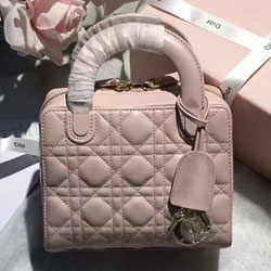  크리스찬디올 토드백