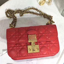 크리스찬 디올 신상백 DR-01159