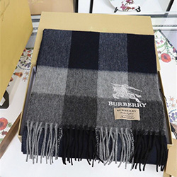 버버리   B-858858