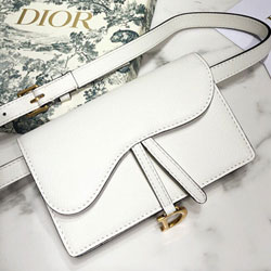 크리스찬디올 웨이스트 백 DR-190530