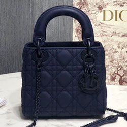 크리스찬디올 토드백 17cm DR-190820