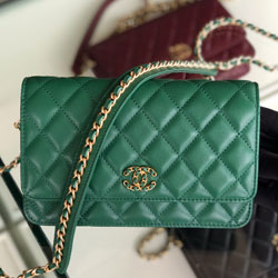 샤넬  WOC 백  190903