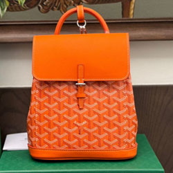 [고급형] 고야드 MINI  신상 백팩 GO-191226