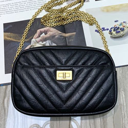 샤넬 카메라 케이스 AS200302