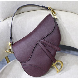 크리스찬 디올 SADDLE 백