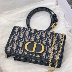 크리스찬디올 파우치 벨트백