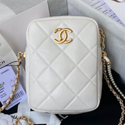 샤넬  코스메틱 케이스 AS2857