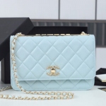 샤넬 WOC백 19cm AS0982