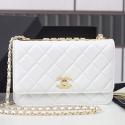 샤넬 WOC백 19cm AS0982