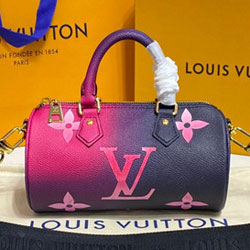 루이비통 빠삐용 M59860