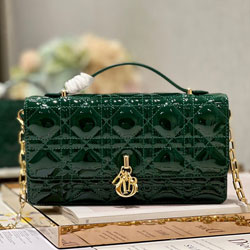 크리스찬디올 숄더백 230411