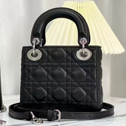 크리스찬디올 숄더백 17cm DR230920