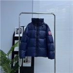 GOOSE-13552