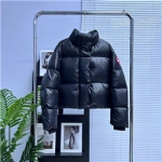 GOOSE-16551