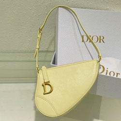 크리스찬 디올 SADDLE 백