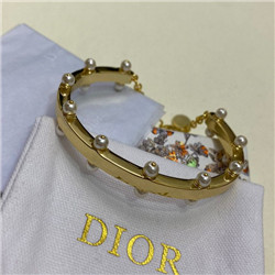 디올 D-31558