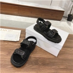 디올 D-31548