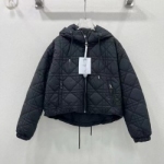 디올 D-753989