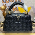 루이비통 M25284