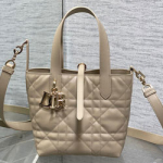 크리스찬디올 숄더백 M250102-1