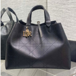 크리스찬디올 Toujours숄더백 M251209L